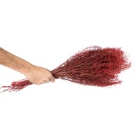 Lepidium stabilisé │vente aux pros│Grossiste en végétaux stabilisés