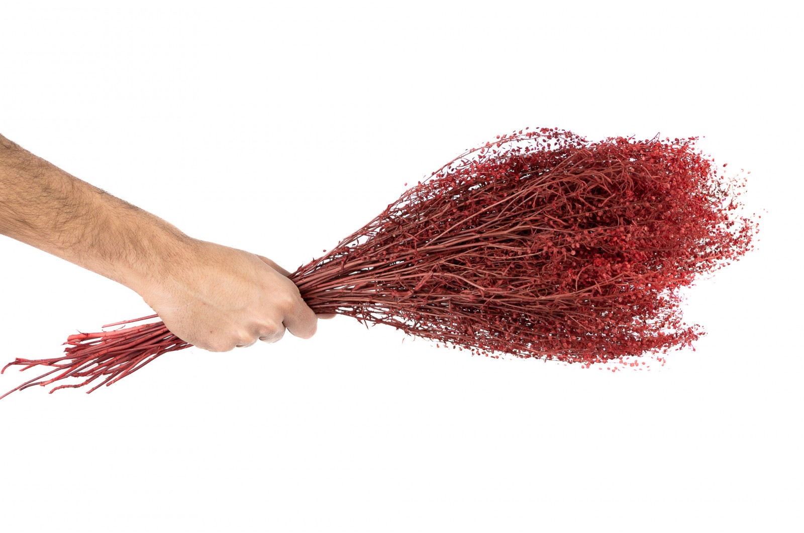 Lepidium stabilisé │vente aux pros│Grossiste en végétaux stabilisés