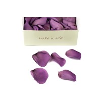 PHOCEALYS│Pétales de rose stabilisées│vente aux pros│Grossiste