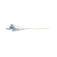 PHOCEALYS │Gypsophile stabilisé│vente aux pros│Grossiste