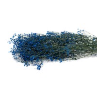 PHOCEALYS │Gypsophile stabilisé│vente aux pros│Grossiste