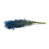 PHOCEALYS │Gypsophile stabilisé│vente aux pros│Grossiste