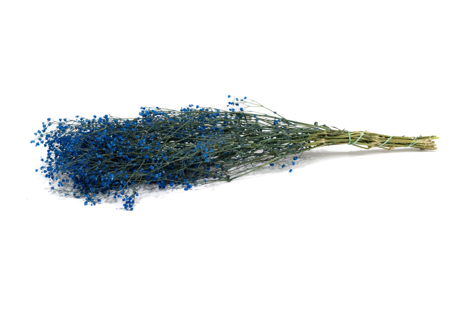 PHOCEALYS │Gypsophile stabilisé│vente aux pros│Grossiste