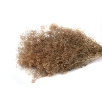 PHOCEALYS │Gypsophile stabilisé│vente aux pros│Grossiste
