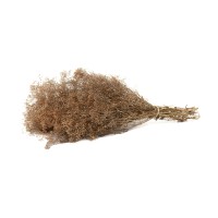 PHOCEALYS │Gypsophile stabilisé│vente aux pros│Grossiste