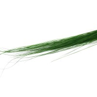 Bright grass stabilisé│vente aux pros│Grossiste en végétaux stabilisés