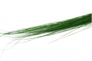 Bright grass stabilisé│vente aux pros│Grossiste en végétaux stabilisés