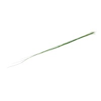 Bright grass stabilisé│vente aux pros│Grossiste en végétaux stabilisés