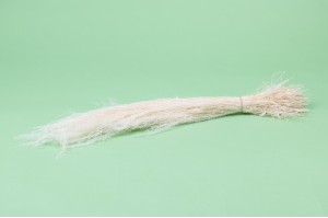 Agrostis sec│vente aux pros│Grossiste en fleurs séchées