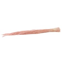 Agrostis sec│vente aux pros│Grossiste en fleurs séchées
