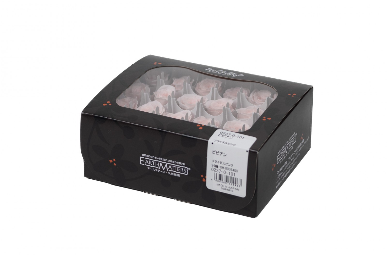 Rose Vivian stabilisée│vente aux pros│Grossiste en végétaux stabilisées