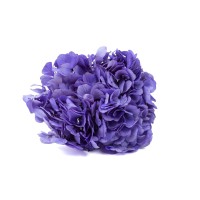 PHOCEALYS│Hortensia stabilisé│vente aux pros│Grossiste en végétaux stabilisées