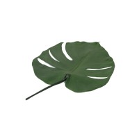 Feuilles de monstera stabilisées│vente aux pros│Grossiste