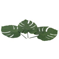 Feuilles de monstera stabilisées│vente aux pros│Grossiste