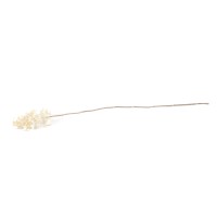 Hortensia stabilisé│vente aux pros│Grossiste en végétaux stabilisées