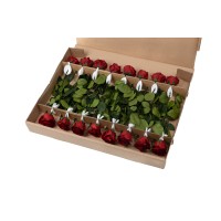 PHOCEALYS│Rose tigée stabilisée│vente aux pros│Grossiste