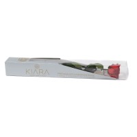 PHOCEALYS│Rose tigée coffret stabilisée│vente aux pros│Grossiste