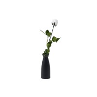 PHOCEALYS│Rose tigée coffret stabilisée│vente aux pros│Grossiste