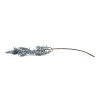 PHOCEALYS │Ruscus stabilisé│vente aux pros│Grossiste