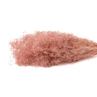 PHOCEALYS │Gypsophile stabilisé│vente aux pros│Grossiste