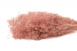 PHOCEALYS │Gypsophile stabilisé│vente aux pros│Grossiste