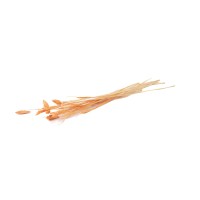 Mini phalaris sec │vente aux pros│Grossiste en fleurs séchées