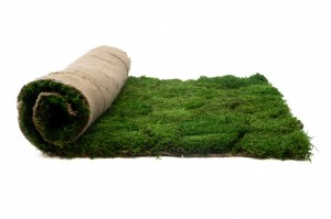 FlexMoss | Mousses stabilisées | PHOCEALYS grossiste