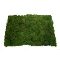 FlexMoss | Mousses stabilisées | PHOCEALYS grossiste