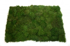 FlexMoss | Mousses stabilisées | PHOCEALYS grossiste