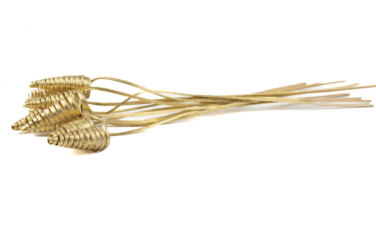 Cane cone séché│vente aux pros│Grossiste en fleurs séchées