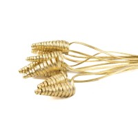 Cane cone séché│vente aux pros│Grossiste en fleurs séchées