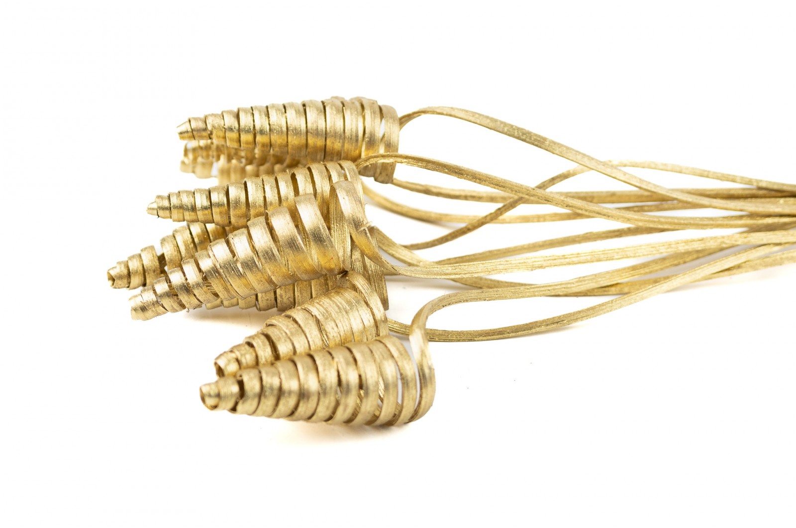 Cane cone séché│vente aux pros│Grossiste en fleurs séchées