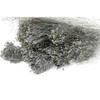 PHOCEALYS │Broom bloom sec│vente aux pros│Grossiste en fleurs séchées