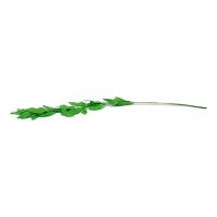 Ruscus Garden stabilisé│vente aux pros│Grossiste en végétaux stabilisées