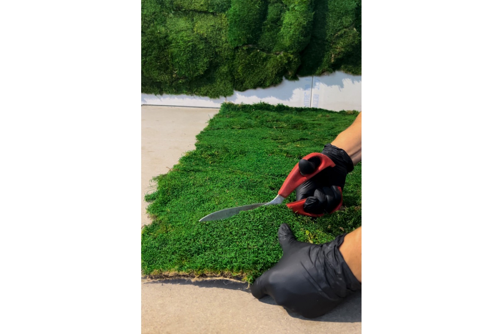FlexMoss | Mousses stabilisées | PHOCEALYS grossiste