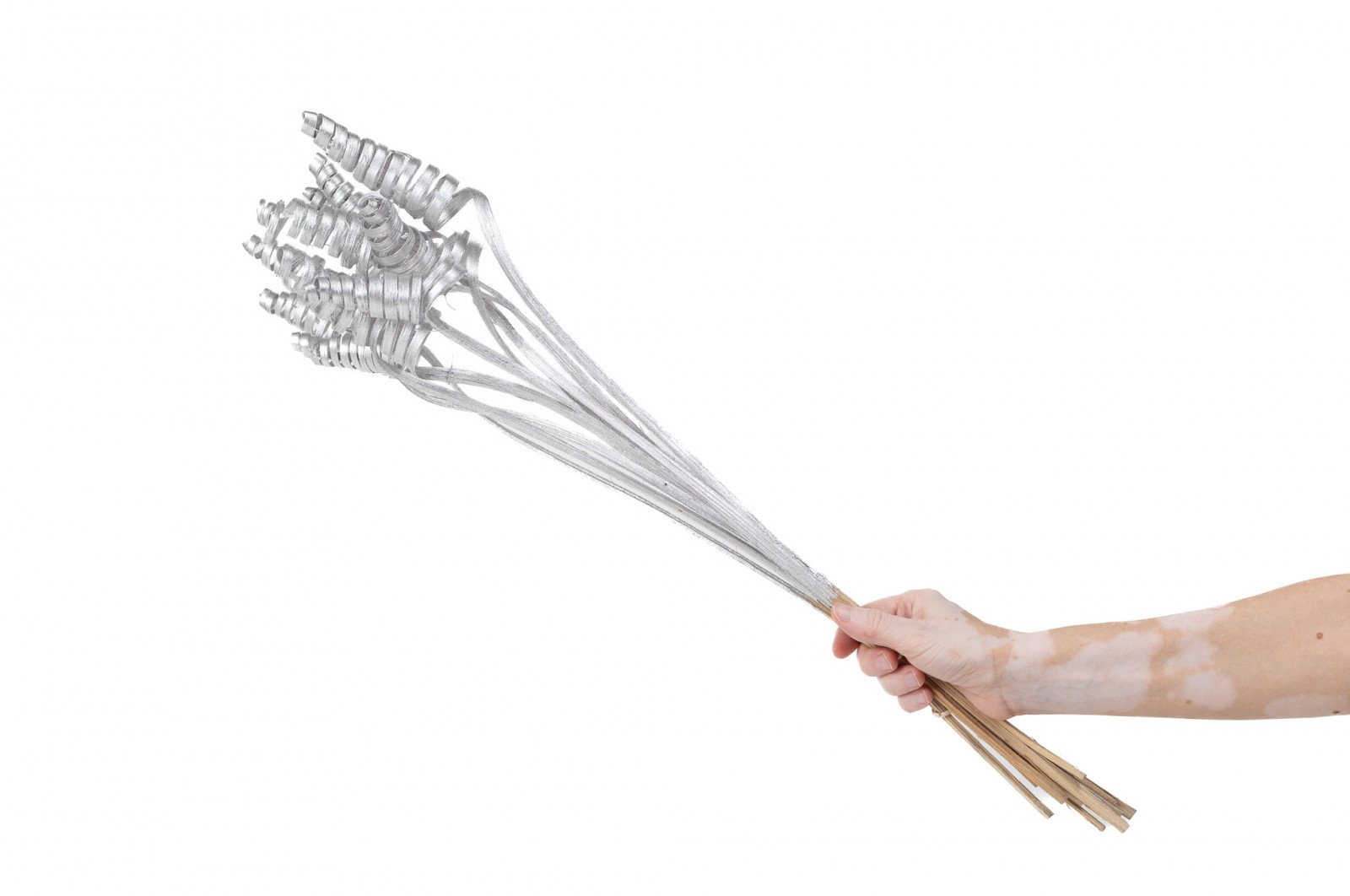 Cane cone séché│vente aux pros│Grossiste en fleurs séchées