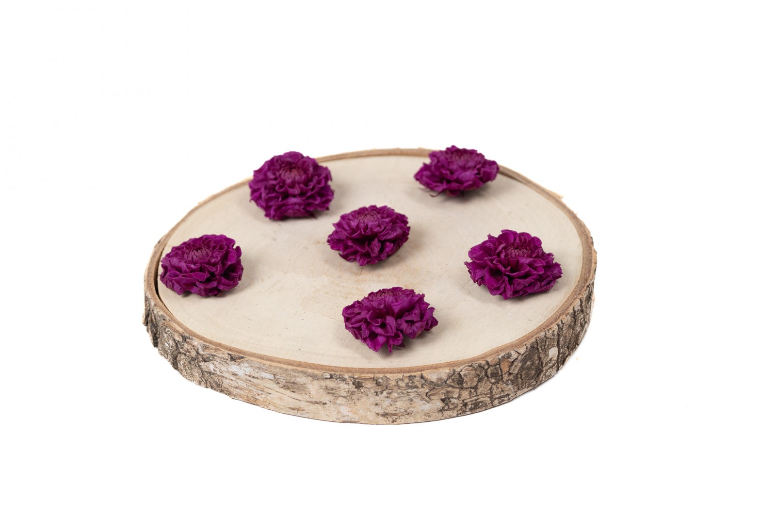 PHOCEALYS│Dahlia stabilisé│vente aux pros│Grossiste