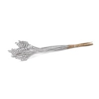 Cane cone séché│vente aux pros│Grossiste en fleurs séchées