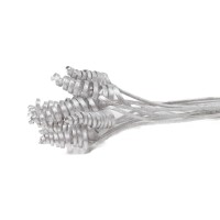 Cane cone séché│vente aux pros│Grossiste en fleurs séchées