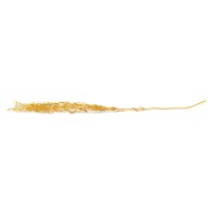 Lepidium stabilisé │vente aux pros│Grossiste en végétaux stabilisés