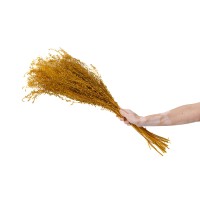 Lepidium stabilisé │vente aux pros│Grossiste en végétaux stabilisés