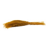 Lepidium stabilisé │vente aux pros│Grossiste en végétaux stabilisés