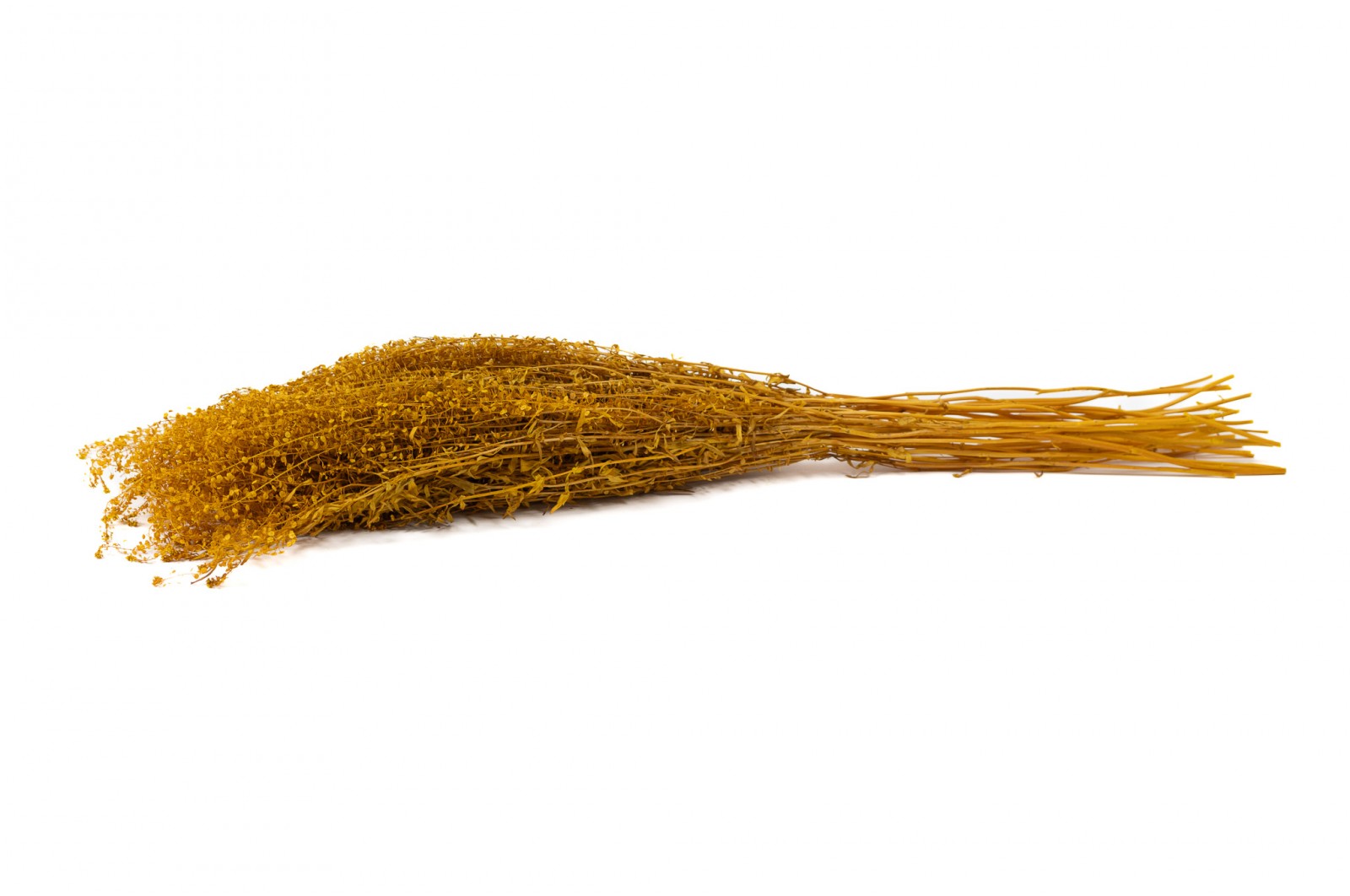 Lepidium stabilisé │vente aux pros│Grossiste en végétaux stabilisés