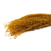 Lepidium stabilisé │vente aux pros│Grossiste en végétaux stabilisés