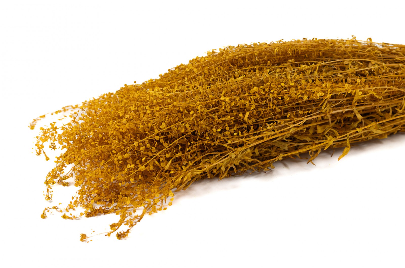 Lepidium stabilisé │vente aux pros│Grossiste en végétaux stabilisés