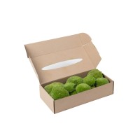 PHOCEALYS│Mousse boule stabilisée│vente aux pros│Grossiste