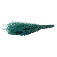 Lepidium stabilisé │vente aux pros│Grossiste en végétaux stabilisés