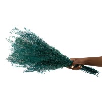 Lepidium stabilisé │vente aux pros│Grossiste en végétaux stabilisés