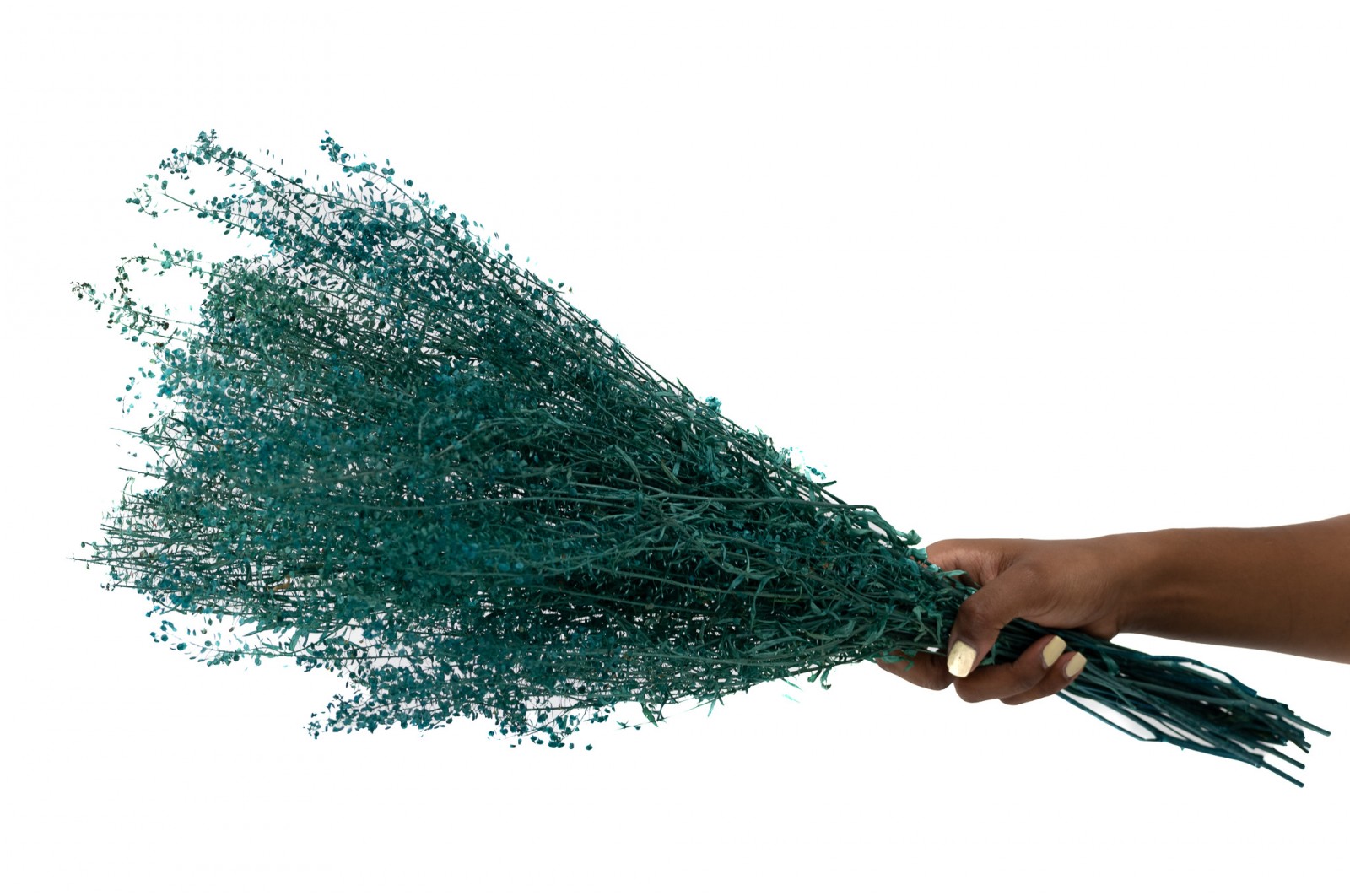 Lepidium stabilisé │vente aux pros│Grossiste en végétaux stabilisés
