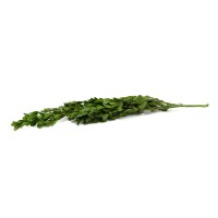 Buis stabilisé│vente aux pros│Grossiste en végétaux stabilisés